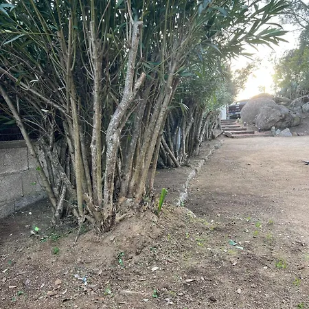 Umbria Di Vecchio*** 別荘 *