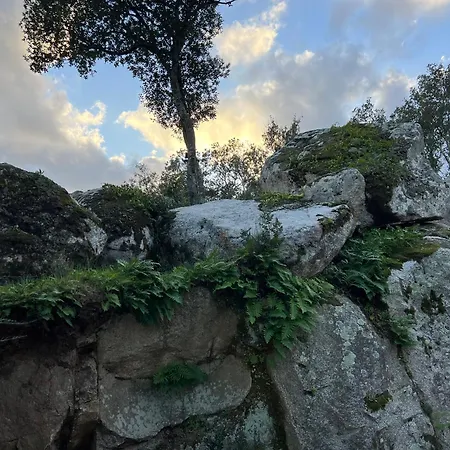 Umbria Di Vecchio*** Σπίτι διακοπών Πόρτο Βέκιο