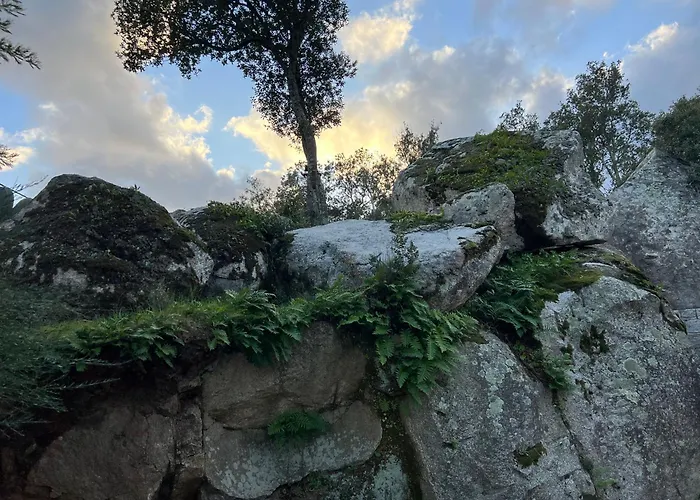 Umbria Di Vecchio*** Prázdninový dům Porto-Vecchio (Corsica)